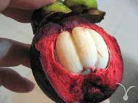 ボルネオのフルーツ、マンゴスチン